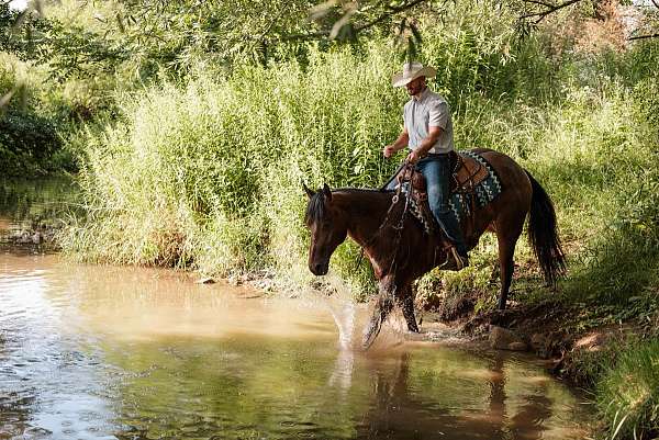 cowboy-mounted-shooting-quarter-horse