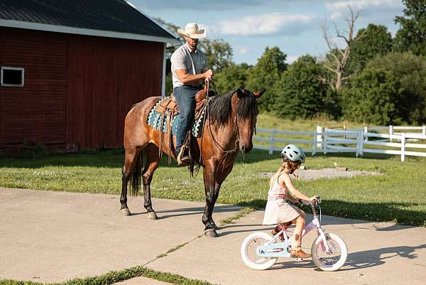 heel-quarter-horse