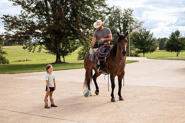 ranch-versatility-quarter-horse