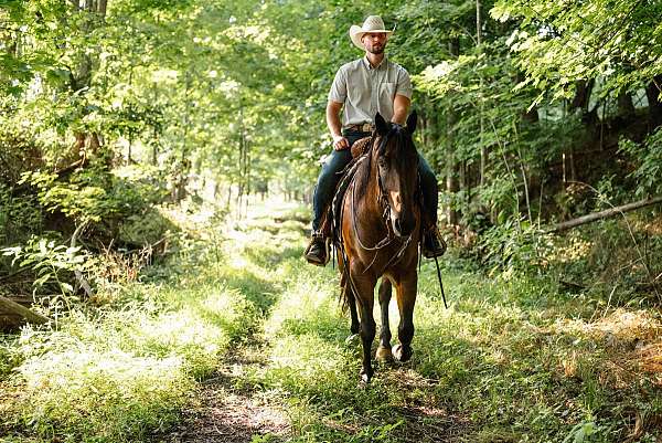 ranch-work-quarter-horse