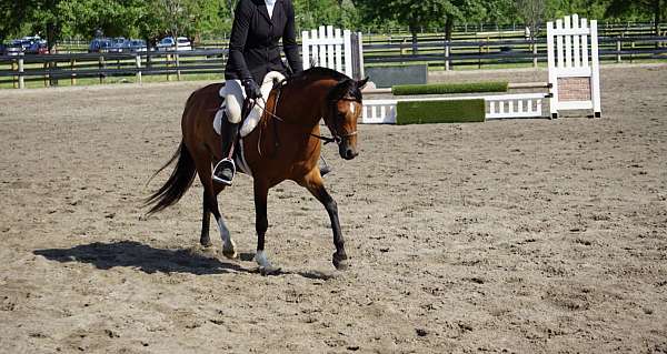 usef-mare