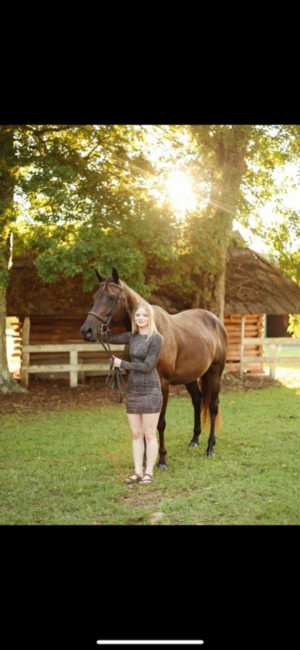 breeding-thoroughbred-horse