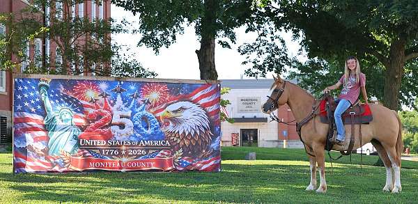 red-dun-drill-team-pony