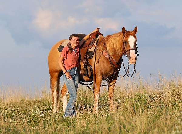 red-dun-foundation-pony