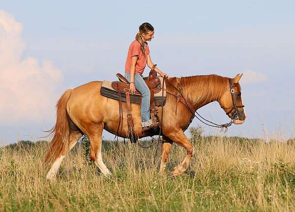 red-dun-lesson-pony