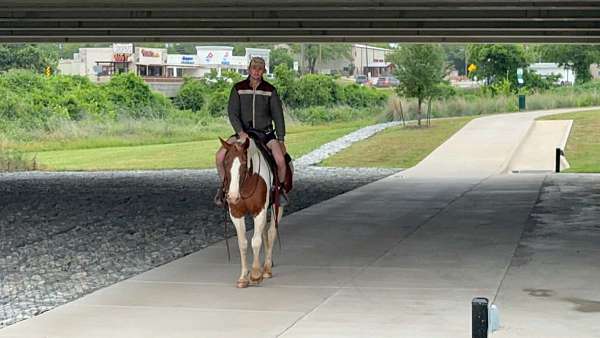 husband-safe-paint-horse