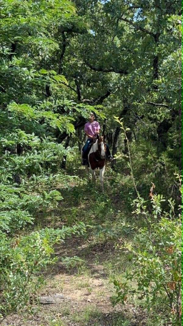 kid-safe-paint-horse