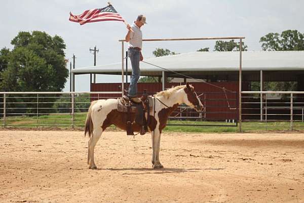 ranch-paint-horse