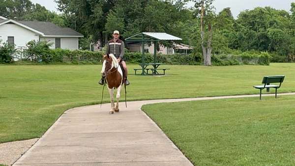 ranch-work-paint-horse