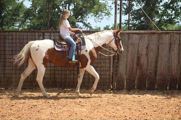 ridden-western-paint-horse