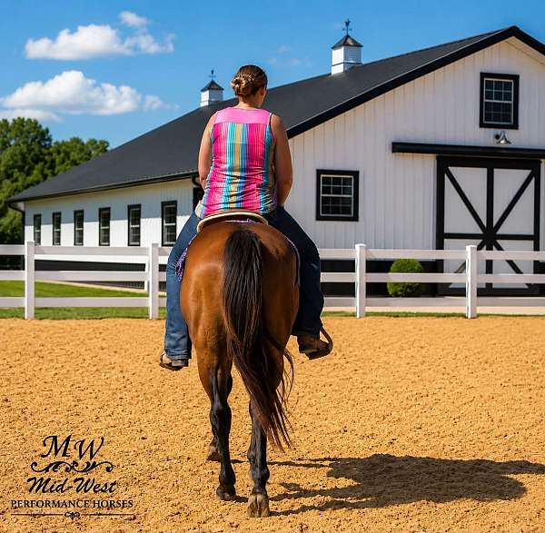 kid-safe-quarter-horse