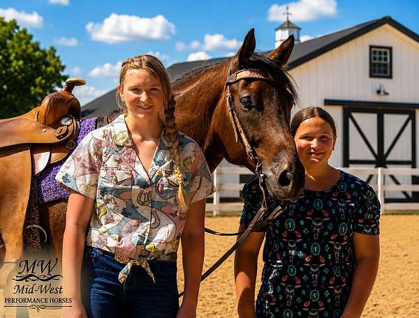 ridden-western-quarter-horse