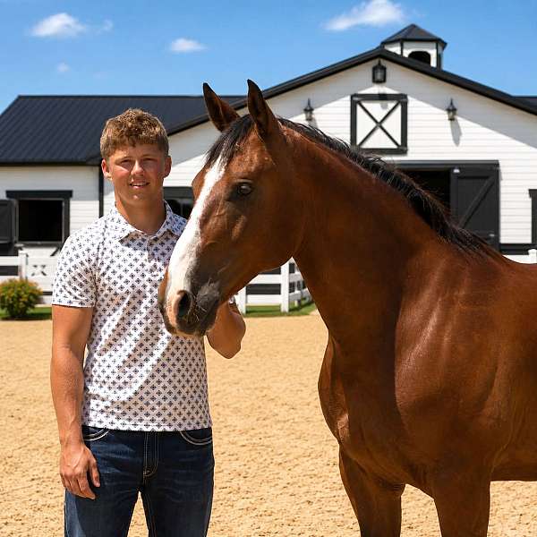 kid-safe-draft-horse