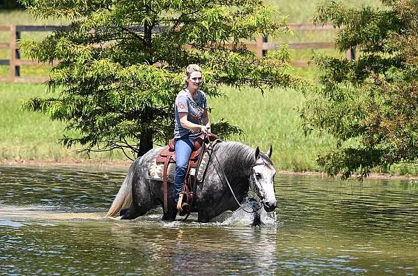 gentle-friesian-horse