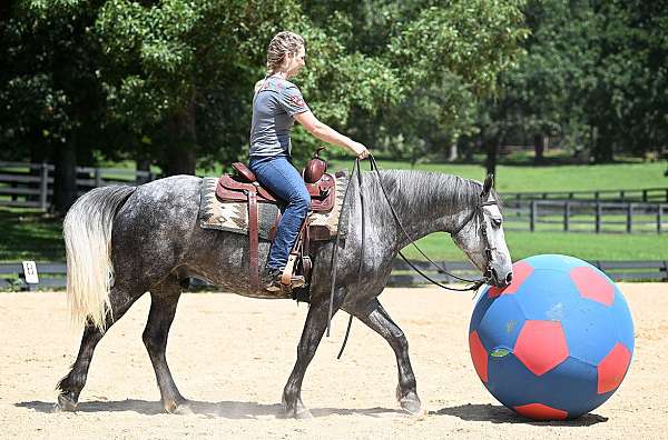 bombproof-friesian-horse