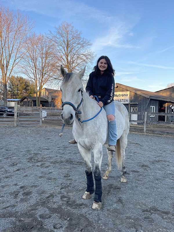 12-thoroughbred-horse