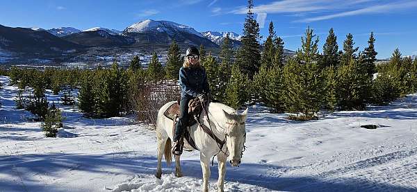 broodmare-quarter-horse