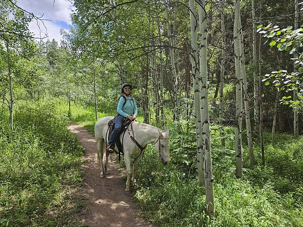 creek-quarter-horse