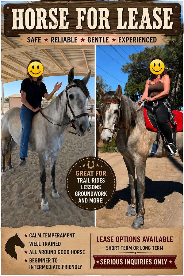 andalusian-mare
