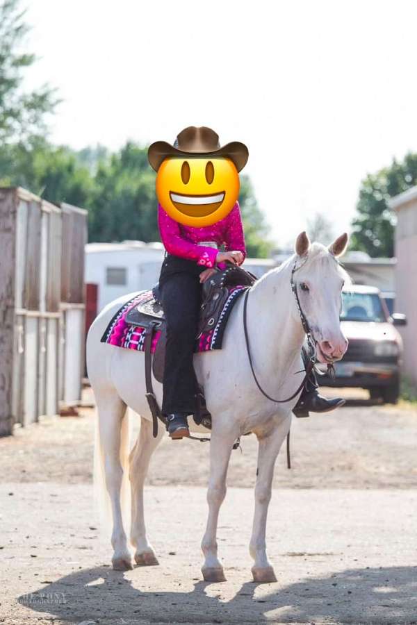 white-drill-team-pony
