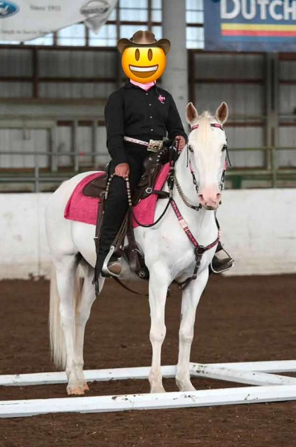 forward-pony