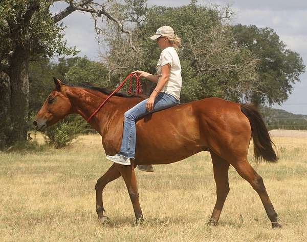 barrel-racing-quarter-pony