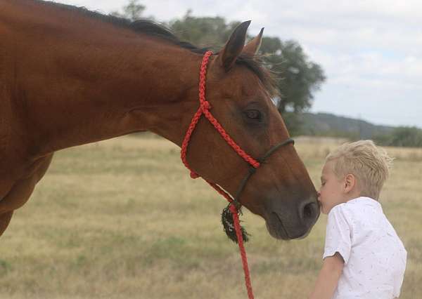 drill-team-quarter-pony