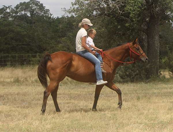 lesson-quarter-pony