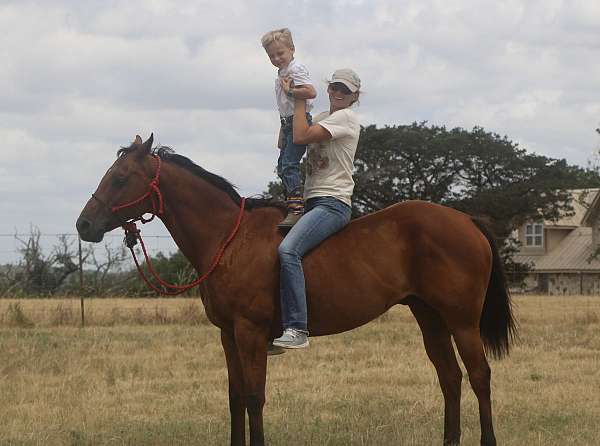 playday-quarter-pony