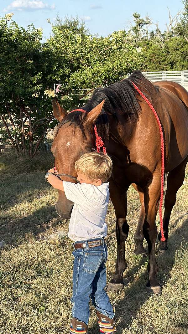 ranch-quarter-pony