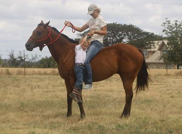 ridden-western-quarter-pony