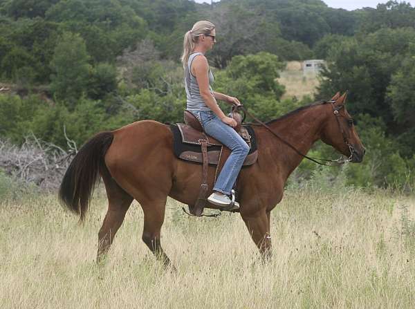 therapy-quarter-pony