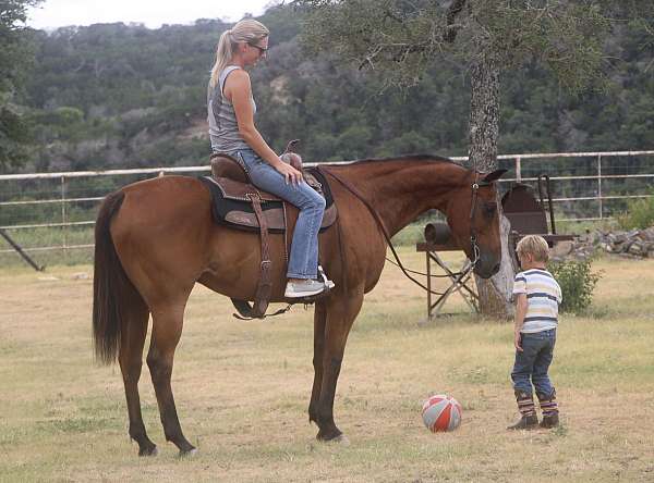 trail-quarter-pony