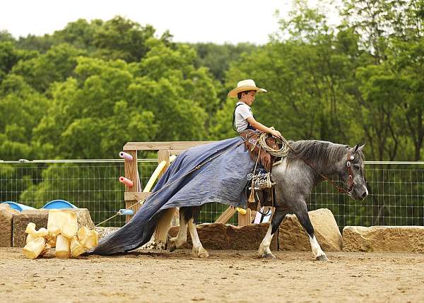 husband-safe-pony