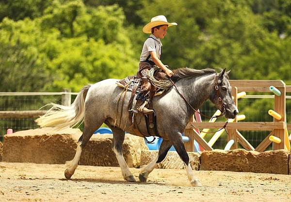 kid-safe-pony