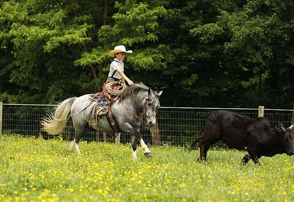 pony-club