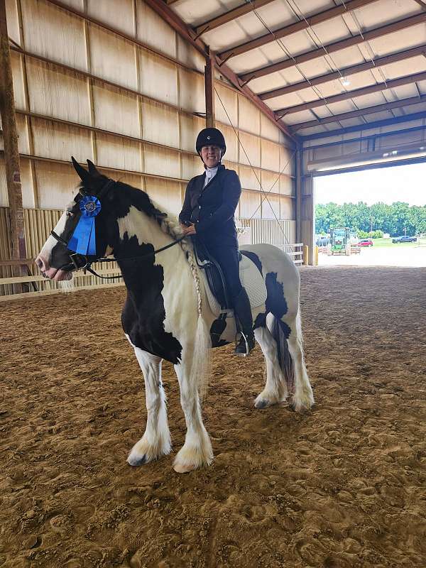 gypsy-vanner-mare