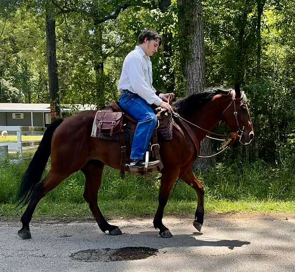 heel-quarter-horse