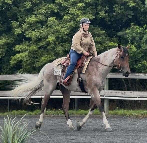 and-willing-paint-horse