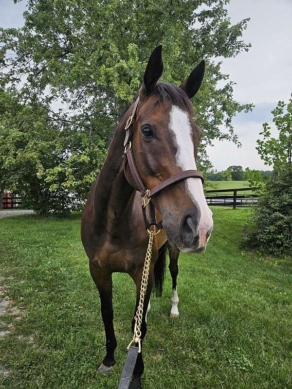 blaze-rh-lh-socks