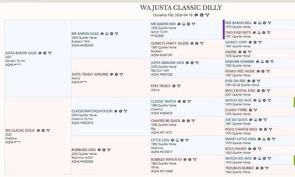 all-around-quarter-horse