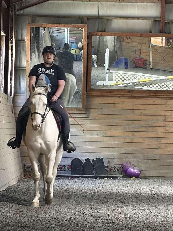 mustang-horse