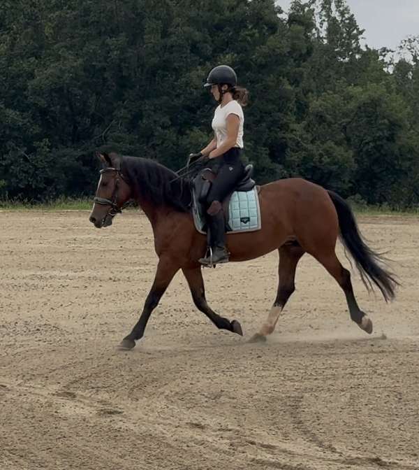 mustang-mare