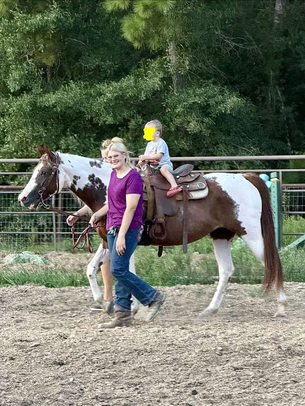 barrel-paint-horse