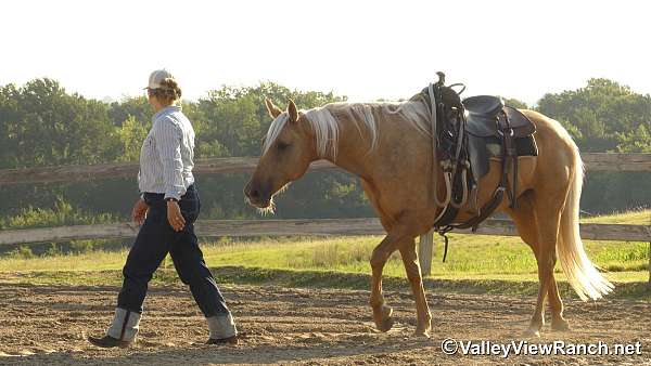 ridden-western-quarter-horse