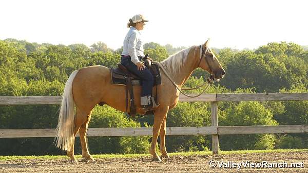 trail-riding-quarter-horse