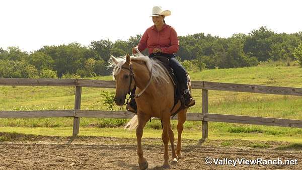 palomino-ranch-horse
