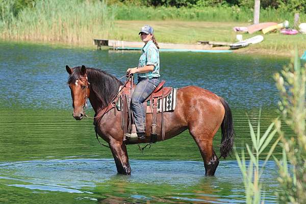 jumping-pony-cleveland-bay