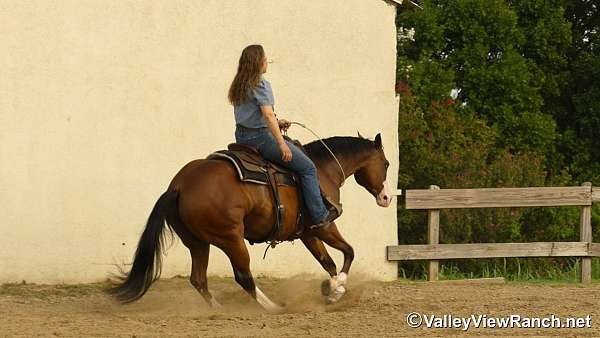 cowboy-mounted-shooting-quarter-horse
