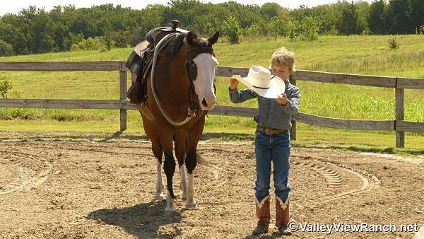 ranch-versatility-quarter-horse